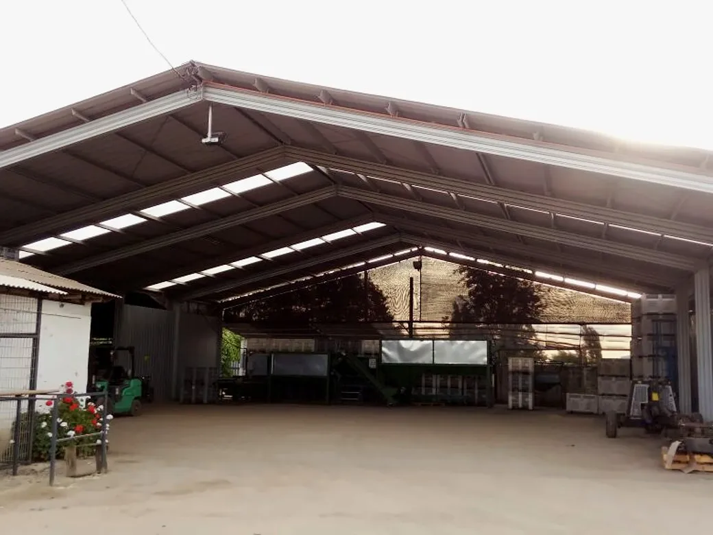 Galpón agrícola: Estructura metálica y cubierta con traslúcidos